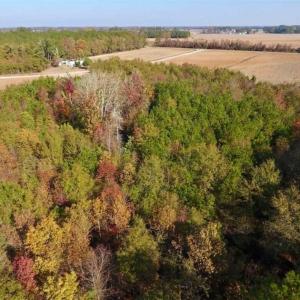 Photo of SOLD!!  42.75 Acres of Farm and Timber Land For Sale in Craven County NC!