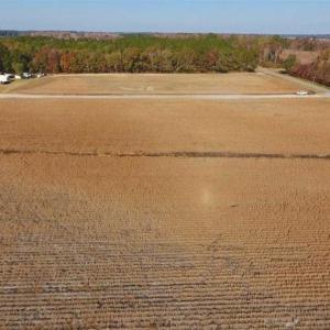 Photo of SOLD!!  42.75 Acres of Farm and Timber Land For Sale in Craven County NC!