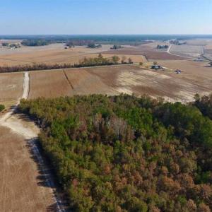Photo of SOLD!!  42.75 Acres of Farm and Timber Land For Sale in Craven County NC!