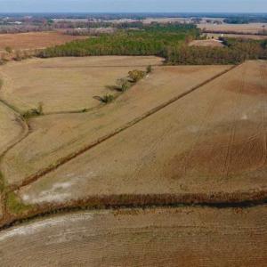 Photo of SOLD!!  42.75 Acres of Farm and Timber Land For Sale in Craven County NC!