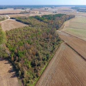 Photo of SOLD!!  42.75 Acres of Farm and Timber Land For Sale in Craven County NC!