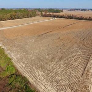 Photo of SOLD!!  42.75 Acres of Farm and Timber Land For Sale in Craven County NC!