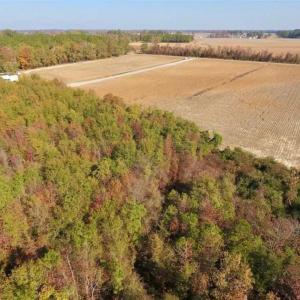 Photo of SOLD!!  42.75 Acres of Farm and Timber Land For Sale in Craven County NC!