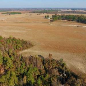 Photo of UNDER CONTRACT!!  38.21 Acres of Farm Land For Sale in Craven County NC!