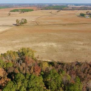 Photo of UNDER CONTRACT!!  38.21 Acres of Farm Land For Sale in Craven County NC!