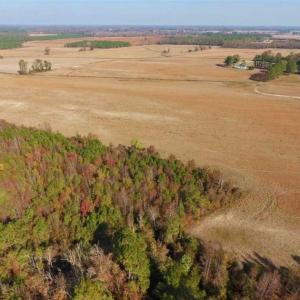 Photo of UNDER CONTRACT!!  38.21 Acres of Farm Land For Sale in Craven County NC!