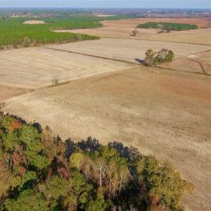 Photo of UNDER CONTRACT!!  38.21 Acres of Farm Land For Sale in Craven County NC!