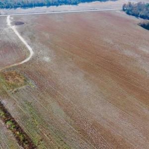Photo of UNDER CONTRACT!!  38.21 Acres of Farm Land For Sale in Craven County NC!