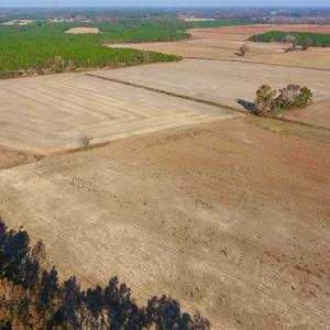 Photo of UNDER CONTRACT!!  38.21 Acres of Farm Land For Sale in Craven County NC!
