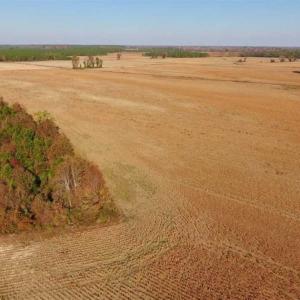Photo of UNDER CONTRACT!!  38.21 Acres of Farm Land For Sale in Craven County NC!