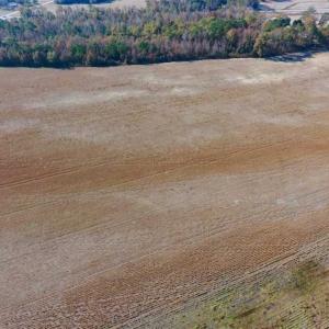 Photo of UNDER CONTRACT!!  38.21 Acres of Farm Land For Sale in Craven County NC!