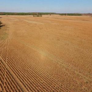 Photo of UNDER CONTRACT!!  38.21 Acres of Farm Land For Sale in Craven County NC!