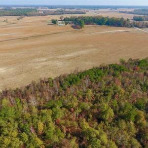 Photo of UNDER CONTRACT!!  38.21 Acres of Farm Land For Sale in Craven County NC!