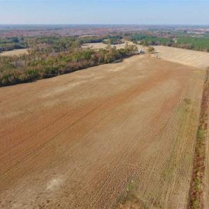 Photo of UNDER CONTRACT!!  38.21 Acres of Farm Land For Sale in Craven County NC!