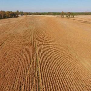 Photo of UNDER CONTRACT!!  38.21 Acres of Farm Land For Sale in Craven County NC!