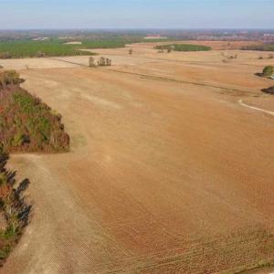 Photo of UNDER CONTRACT!!  38.21 Acres of Farm Land For Sale in Craven County NC!