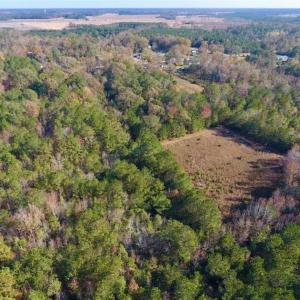 Photo of SOLD!!  27 Acres of Hunting and Timber Land For Sale in Lenoir County NC!
