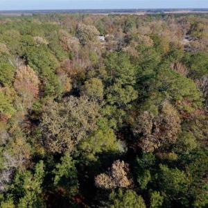 Photo of SOLD!!  27 Acres of Hunting and Timber Land For Sale in Lenoir County NC!