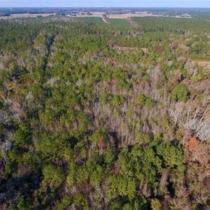 Photo of SOLD!!  27 Acres of Hunting and Timber Land For Sale in Lenoir County NC!
