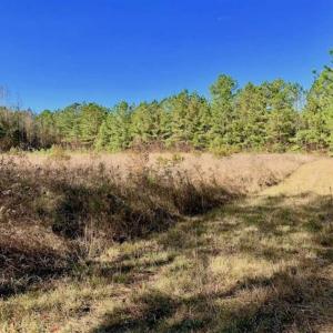 Photo of SOLD!!  27 Acres of Hunting and Timber Land For Sale in Lenoir County NC!