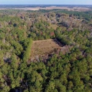 Photo of SOLD!!  27 Acres of Hunting and Timber Land For Sale in Lenoir County NC!