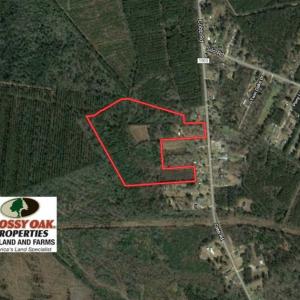 Photo of SOLD!!  27 Acres of Hunting and Timber Land For Sale in Lenoir County NC!