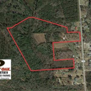 Photo of SOLD!!  27 Acres of Hunting and Timber Land For Sale in Lenoir County NC!