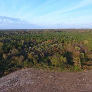 Photo of SOLD!!! 92 Acres of Farm and Residential Land for Sale in Sampson County NC!