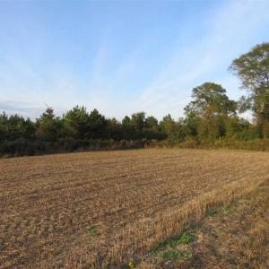 Photo of SOLD!!! 92 Acres of Farm and Residential Land for Sale in Sampson County NC!