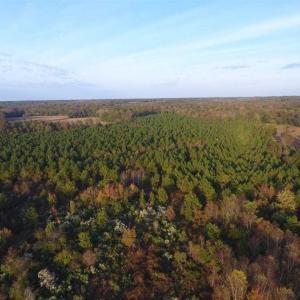 Photo of SOLD!!! 92 Acres of Farm and Residential Land for Sale in Sampson County NC!