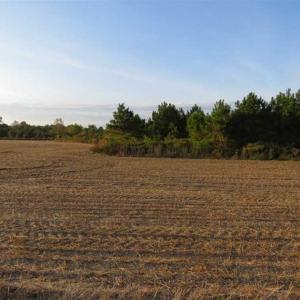 Photo of SOLD!!! 92 Acres of Farm and Residential Land for Sale in Sampson County NC!