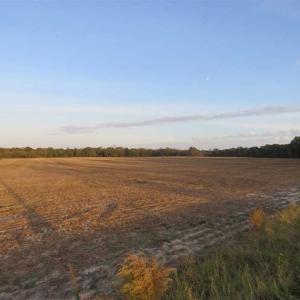 Photo of SOLD!!! 92 Acres of Farm and Residential Land for Sale in Sampson County NC!
