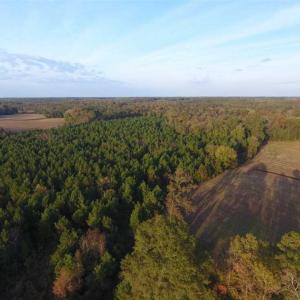 Photo of SOLD!!! 92 Acres of Farm and Residential Land for Sale in Sampson County NC!
