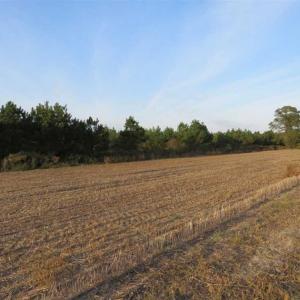 Photo of SOLD!!! 92 Acres of Farm and Residential Land for Sale in Sampson County NC!