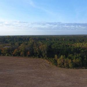 Photo of SOLD!!! 92 Acres of Farm and Residential Land for Sale in Sampson County NC!