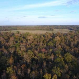 Photo of SOLD!!! 92 Acres of Farm and Residential Land for Sale in Sampson County NC!