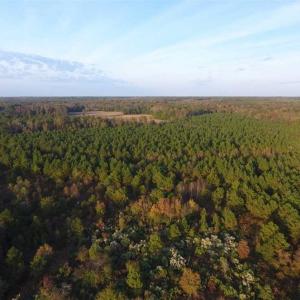 Photo of SOLD!!! 92 Acres of Farm and Residential Land for Sale in Sampson County NC!