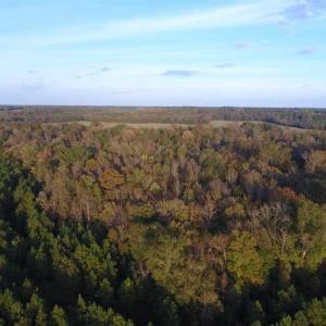 Photo of SOLD!!! 92 Acres of Farm and Residential Land for Sale in Sampson County NC!