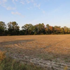 Photo of SOLD!!! 92 Acres of Farm and Residential Land for Sale in Sampson County NC!