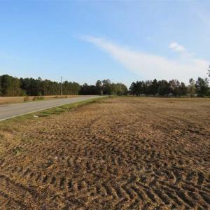 Photo of SOLD!!  22.5 Acres of Farm and Residential Land for Sale in Sampson County NC!