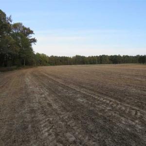 Photo of SOLD!!  22.5 Acres of Farm and Residential Land for Sale in Sampson County NC!