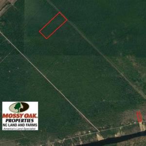 Photo of SOLD!!  65 Acres of Hunting Land with Home For Sale in Hyde County NC!