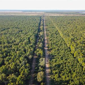 Photo of SOLD!!  65 Acres of Hunting Land with Home For Sale in Hyde County NC!