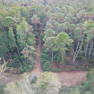 Photo of SOLD!!  65 Acres of Hunting Land with Home For Sale in Hyde County NC!