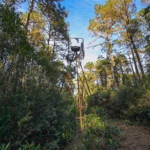 Photo of SOLD!!  65 Acres of Hunting Land with Home For Sale in Hyde County NC!