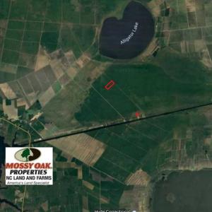 Photo of SOLD!!  65 Acres of Hunting Land with Home For Sale in Hyde County NC!