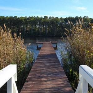 Photo of SOLD!!  65 Acres of Hunting Land with Home For Sale in Hyde County NC!