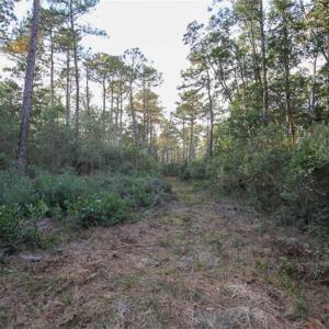 Photo of SOLD!!  65 Acres of Hunting Land with Home For Sale in Hyde County NC!