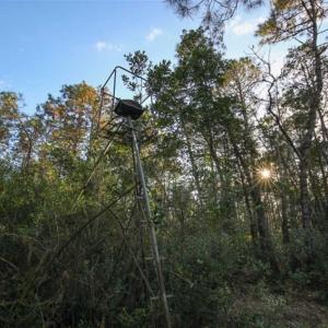 Photo of SOLD!!  65 Acres of Hunting Land with Home For Sale in Hyde County NC!