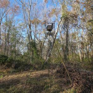 Photo of SOLD!!  65 Acres of Hunting Land with Home For Sale in Hyde County NC!
